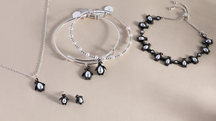 Bracelets Women Alex And Ani Penguin Bangle Set Of 2 Two Tone