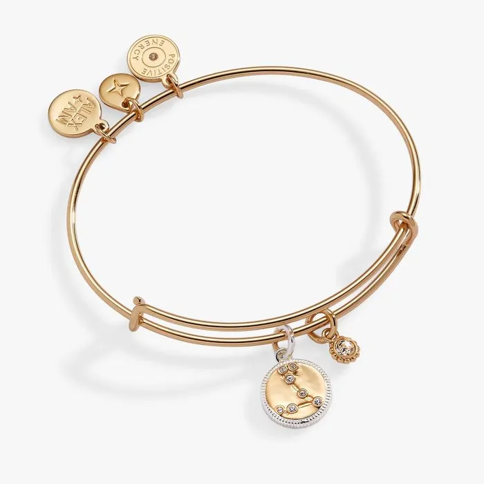 Bracelets Women Alex And Ani Pisces Zodiac Charm Bangle Two Tone