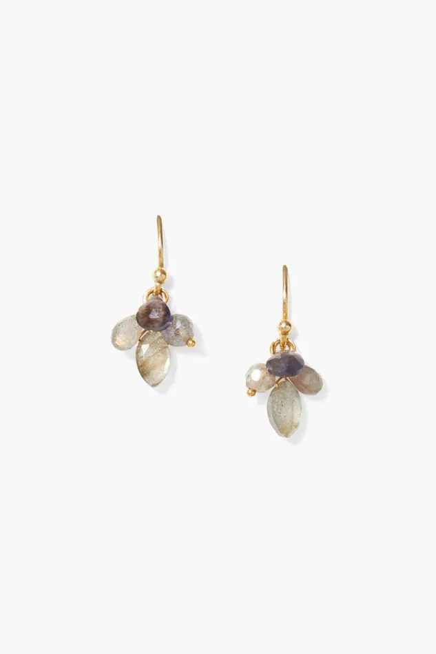 Chan Luu Earrings Women Hila Earrings Labradorite Mix