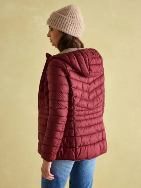 Coats and Jackets Women Joules Dark Red Showerproof Padded Coat With Hood