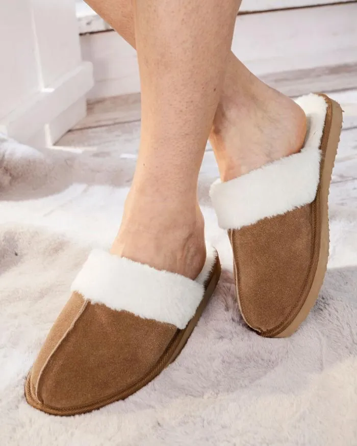 Cotton Traders Slippers Suede Mule Slippers 8211 Women