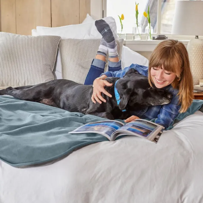 Furniture Protectors and Throws Dogs Orvis DogProof Fleece Throw Blue