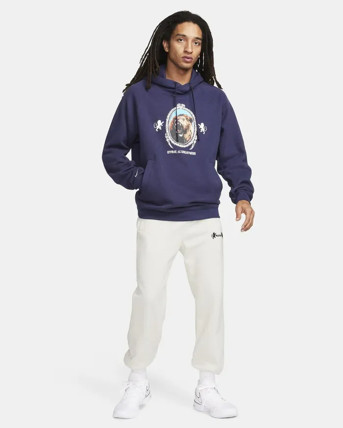 Hoodies And Sweatshirts Men Nike LeBron Purple Inkheatherphantom