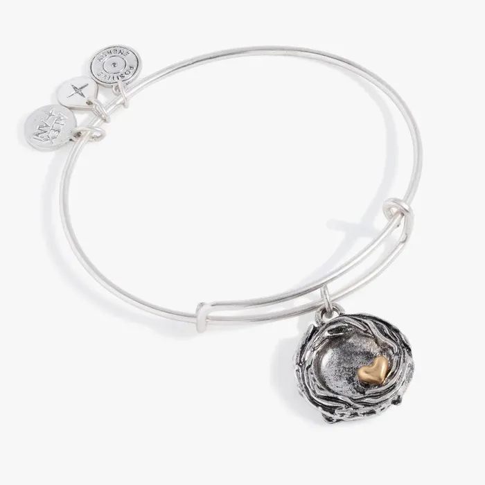 Iconic Women Alex And Ani Birds Nest Charm Bangle Two Tone