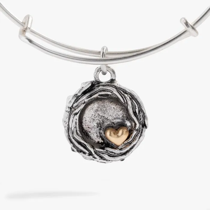 Iconic Women Alex And Ani Birds Nest Charm Bangle Two Tone