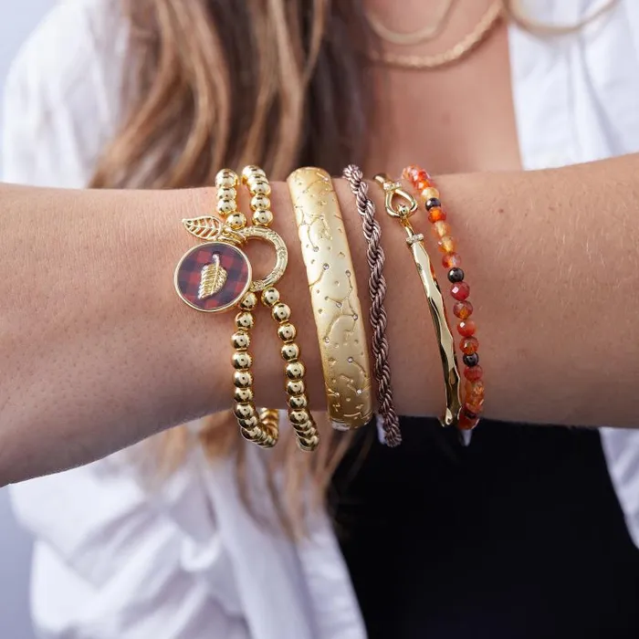 Iconic Women Alex And Ani Carnelian Beaded Bangle Chocolate