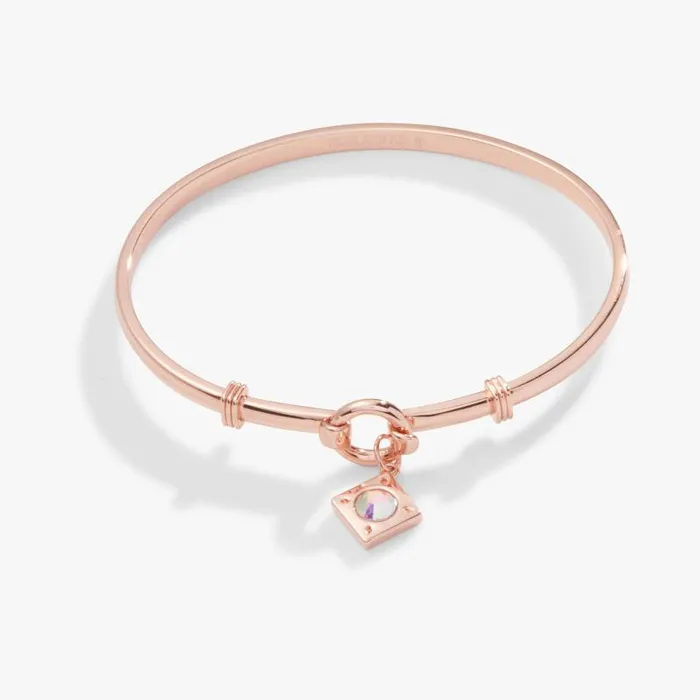 Iconic Women Alex And Ani Crystal Charm Clip Bangle Crystal Shiny Rose Gold