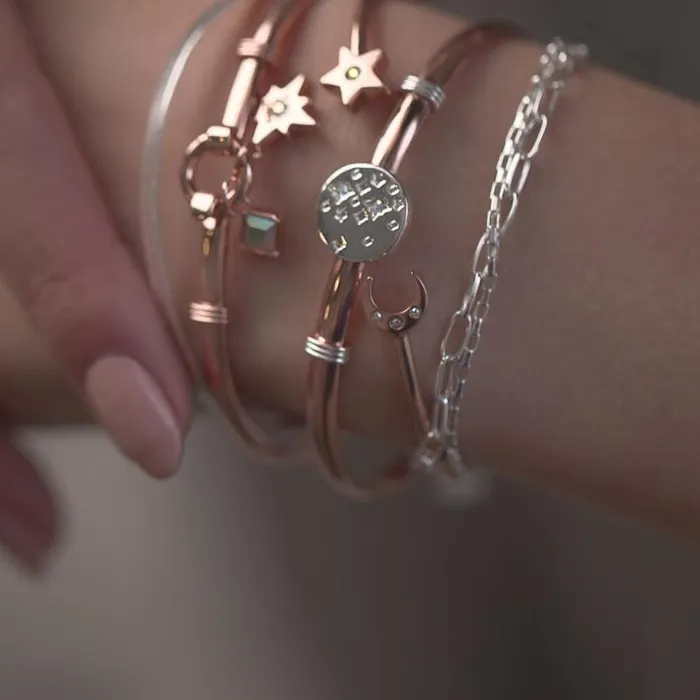 Iconic Women Alex And Ani Crystal Charm Clip Bangle Crystal Shiny Rose Gold