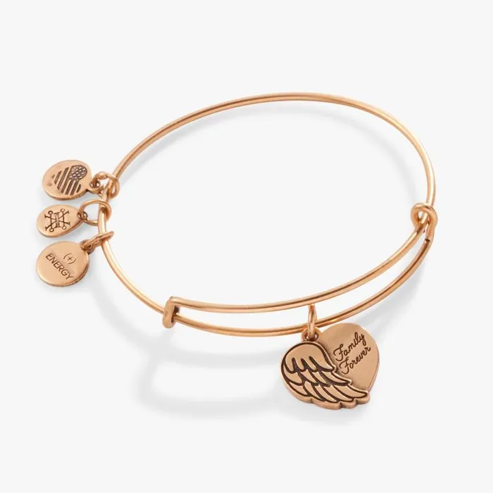 Iconic Women Alex And Ani Family Forever039 Angel Wing Heart Charm Bangle Rafaelian Silver