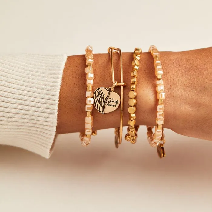 Iconic Women Alex And Ani Family Forever039 Angel Wing Heart Charm Bangle Rafaelian Silver