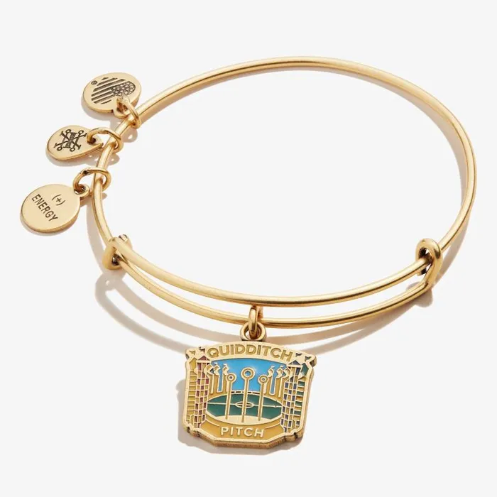 Iconic Women Alex And Ani Harry Potter 039Quidditch Pitch039 Charm Bangle Rafaelian Gold Iconic Women Alex And Ani Harry Potter 039Quidditch Pitch039 Charm Bangle Rafaelian Gold