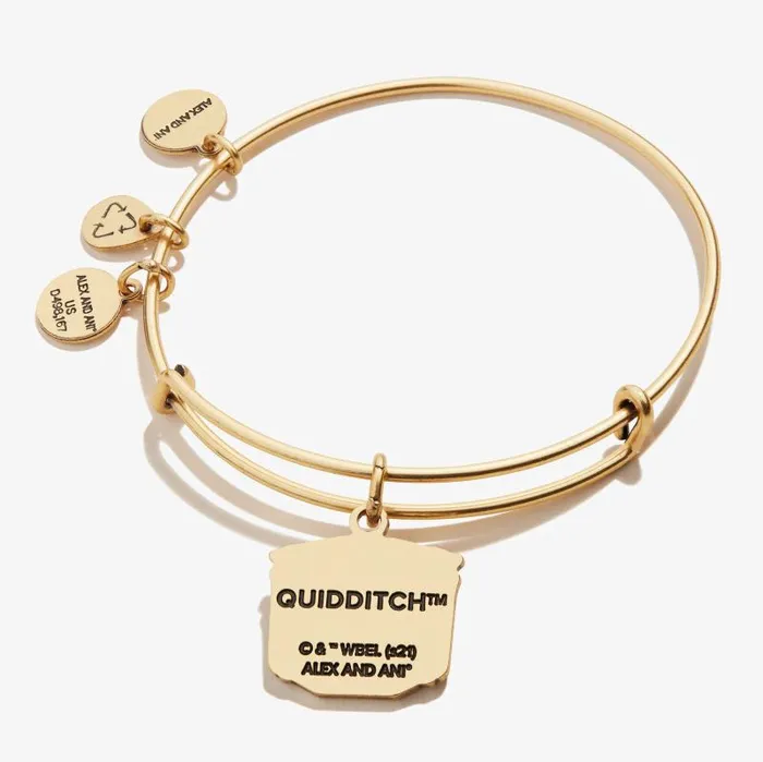 Iconic Women Alex And Ani Harry Potter 039Quidditch Pitch039 Charm Bangle Rafaelian Gold