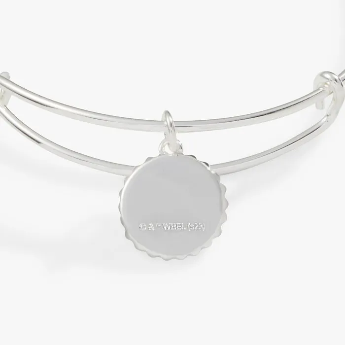 Iconic Women Alex And Ani Harry Potter Ravenclaw House Charm Bangle Silver