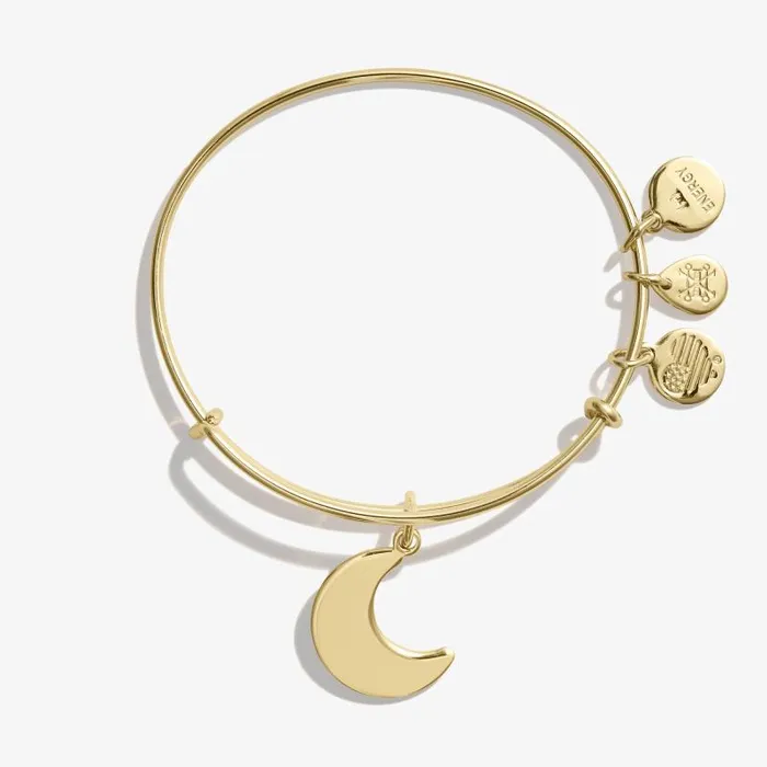 Iconic Women Alex And Ani Moon Charm Bangle Gold