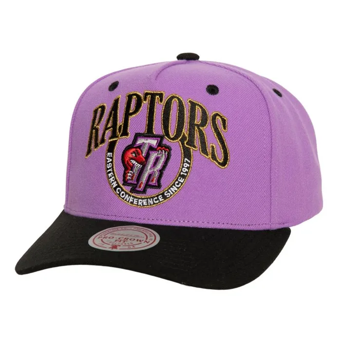 Mitchell and Ness Crown Jewels Pro Snapback HWC Toronto Raptors Men Hats and Headwear