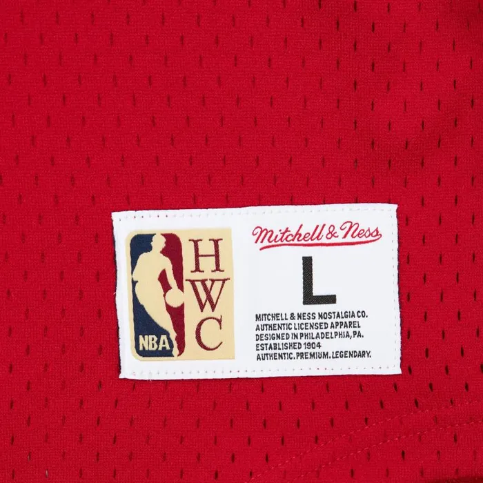 Mitchell and Ness Fashion Mesh VNeck Vintage Logo Miami Heat Men TShirts and Tops