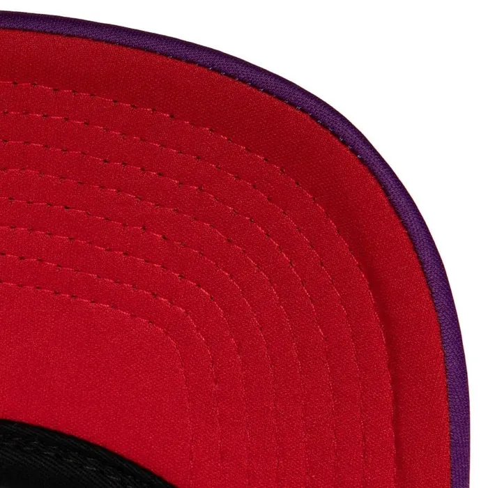 Mitchell and Ness Off The Backboard Trucker Snapback HWC Toronto Raptors Men Hats and Headwear