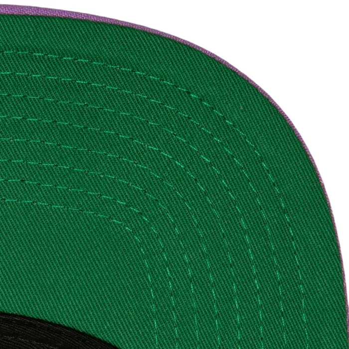Mitchell and Ness Overhead Snapback HWC Toronto Raptors Men Hats and Headwear