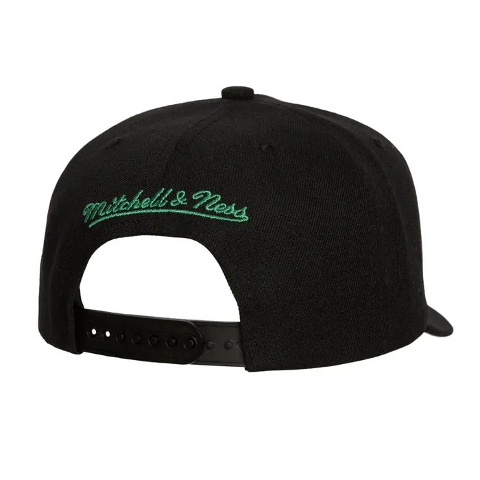 Mitchell and Ness Panorec Pro Snapback Boston Celtics Men Hats and Headwear