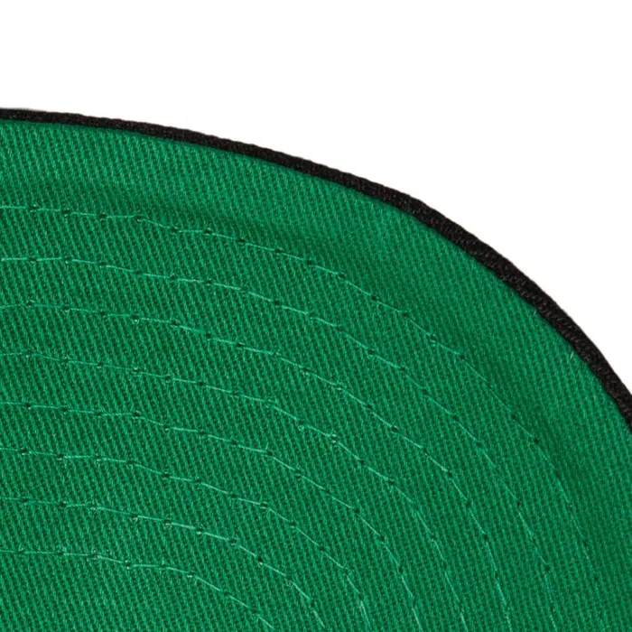 Mitchell and Ness Panorec Pro Snapback Boston Celtics Men Hats and Headwear