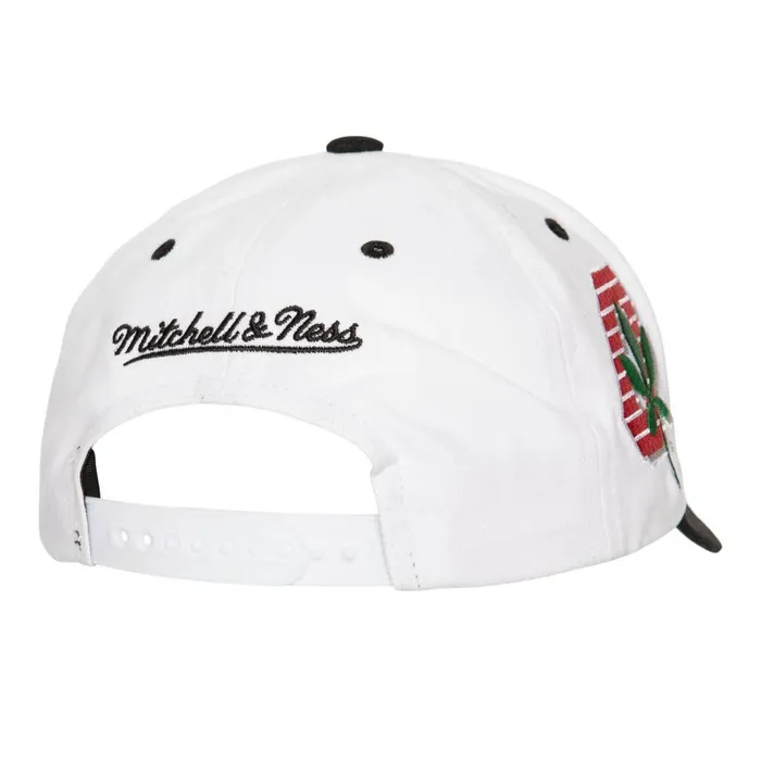 Mitchell and Ness Tail Sweep Pro Snapback Ohio State Men Hats and Headwear
