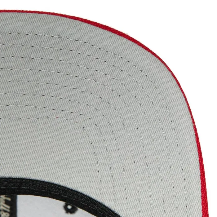 Mitchell and Ness Team 2 Tone 20 Snapback Nba Toronto Raptors Men Hats and Headwear Mitchell and Ness Team 2 Tone 20 Snapback Nba Toronto Raptors Men Hats and Headwear