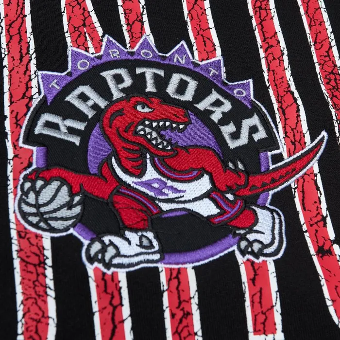 Mitchell and Ness Team OG Fleece 20 Toronto Raptors Men Hoodies and Sweatshirts Mitchell and Ness Team OG Fleece 20 Toronto Raptors Men Hoodies and Sweatshirts