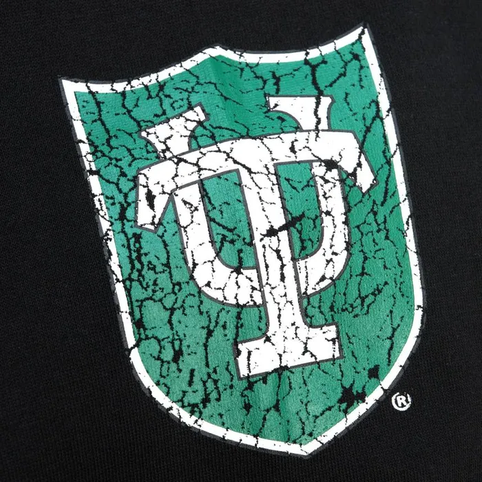 Mitchell and Ness Team OG Fleece Hoodie Tulane University Men Hoodies and Sweatshirts Mitchell and Ness Team OG Fleece Hoodie Tulane University Men Hoodies and Sweatshirts