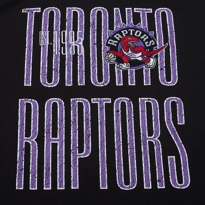 Mitchell and Ness Team OG Premium SS Tee Toronto Raptors Men TShirts and Tops Mitchell and Ness Team OG Premium SS Tee Toronto Raptors Men TShirts and Tops
