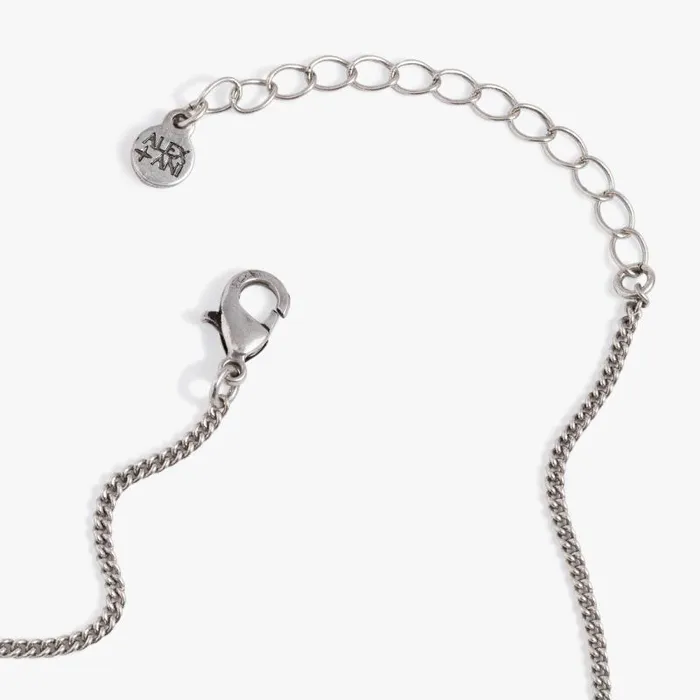 Necklaces Women Alex And Ani Sodalite Multicharm Necklace Antique Silver