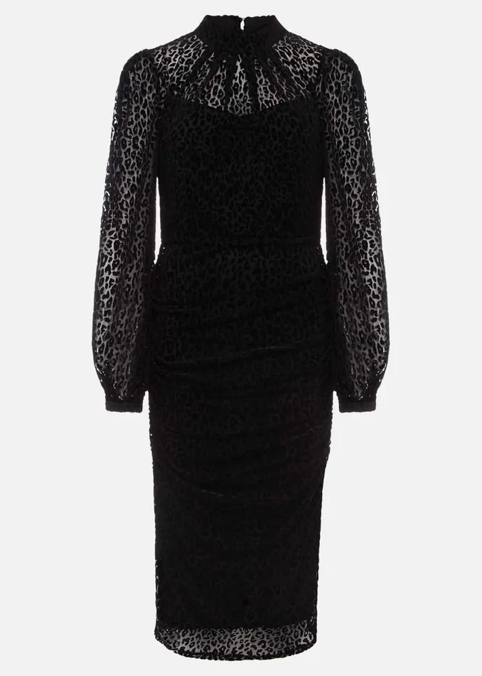 Phase Eight Dresses Capriana Leopard Burnout Dress Black 8211 Women