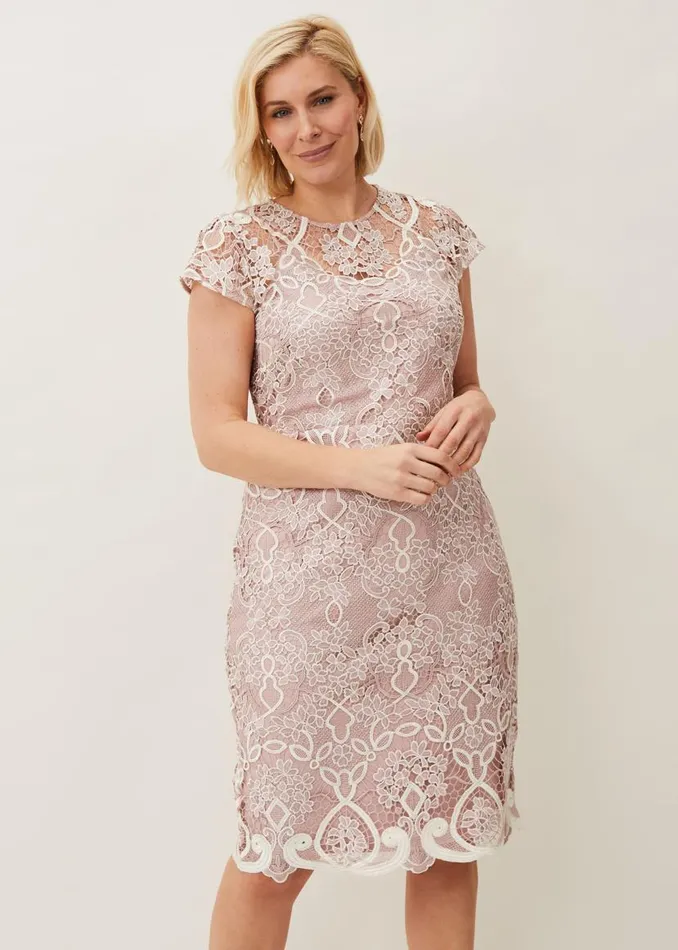 Phase Eight Dresses Frances Lace Fitted Dress Petal 8211 Women