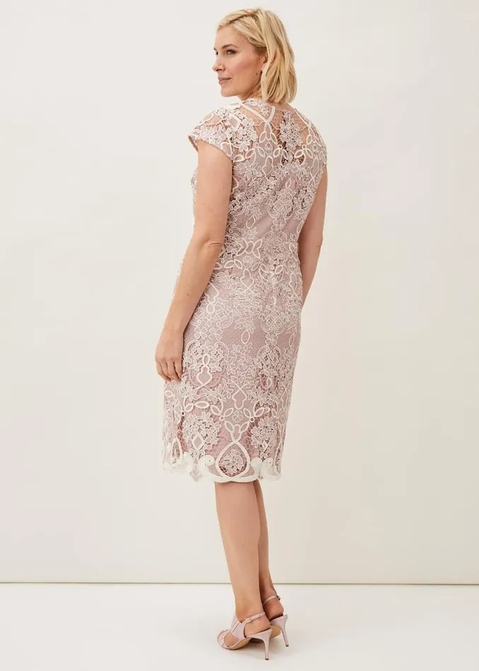 Phase Eight Dresses Frances Lace Fitted Dress Petal 8211 Women