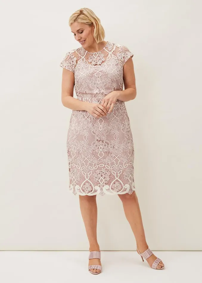 Phase Eight Dresses Frances Lace Fitted Dress Petal 8211 Women