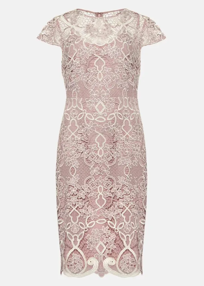 Phase Eight Dresses Frances Lace Fitted Dress Petal 8211 Women