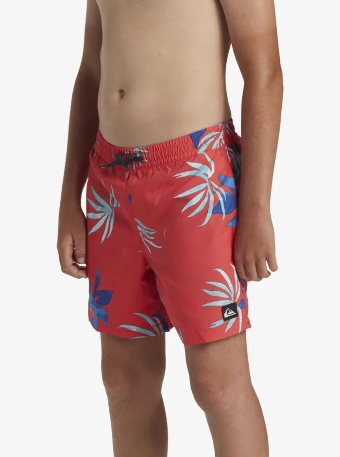 Quiksilver 816 Everyday Mix Volley 14034 Elastic Waist Shorts Cayenne Boys Boardshorts Quiksilver 816 Everyday Mix Volley 14034 Elastic Waist Shorts Cayenne Boys Boardshorts