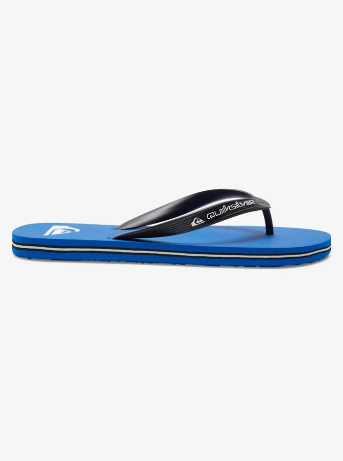 Quiksilver Molokai Core FlipFlops Blue 1 Mens Sandals