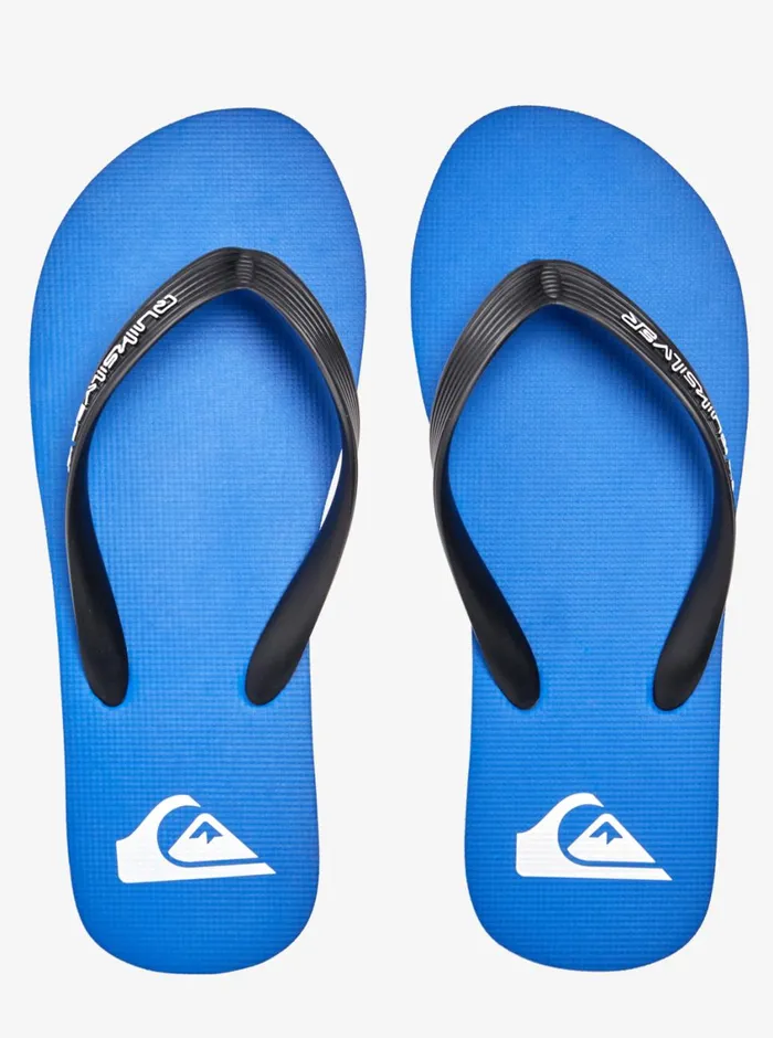 Quiksilver Molokai Core FlipFlops Blue 1 Mens Sandals