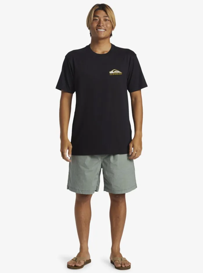 Quiksilver Step Up TShirt Black Mens Tees Quiksilver Step Up TShirt Black Mens Tees