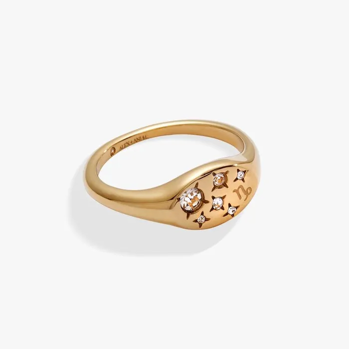Rings Women Alex And Ani Capricorn Zodiac Ring Stainless Steel Gold