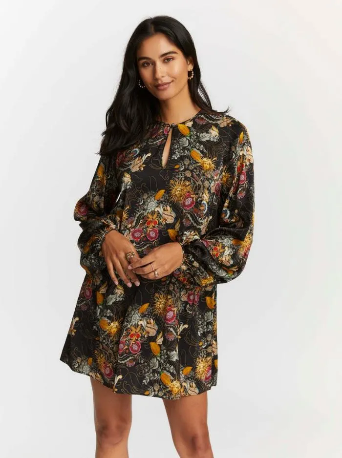 Robert Graham Dresses Women Giselle Dress Multi
