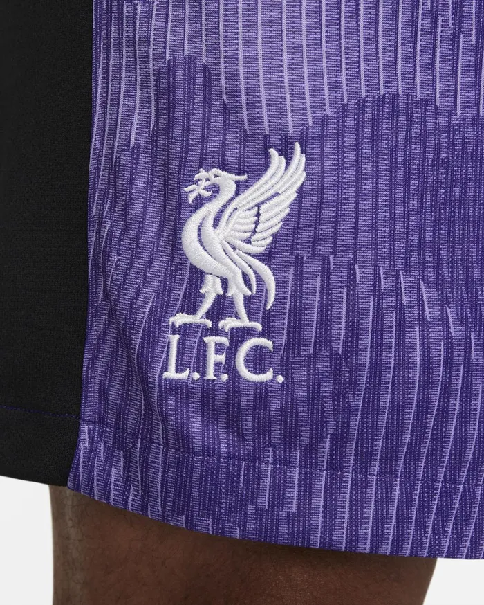 Shorts Men Nike Liverpool FC 202324 Stadium Third Space Purplecourt Purplewhite