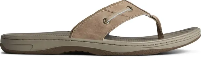 Sperry Sandals Men Baitfish Leather Flip Flop Taupe