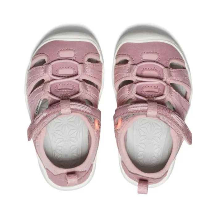 Toddlers039 Moxie Nostalgia RosePapaya Punch Sandal Kids KEEN Toddler Toddlers039 Moxie Nostalgia RosePapaya Punch Sandal Kids KEEN Toddler