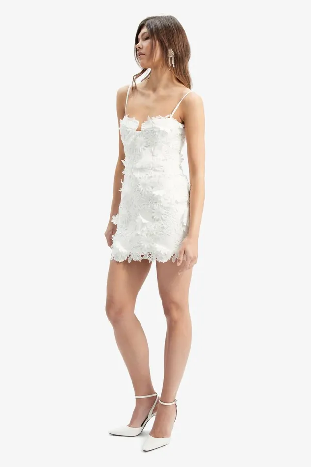 Women Bardot Party Dresses Brias Lace Mini Dress In Orchid White
