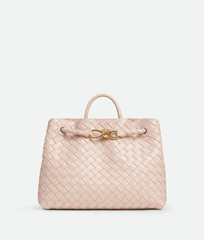 Women Bottega Veneta Crossbody Andiamo Cameo