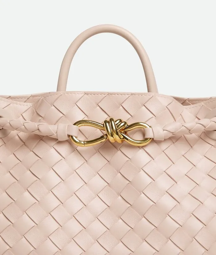 Women Bottega Veneta Crossbody Andiamo Cameo