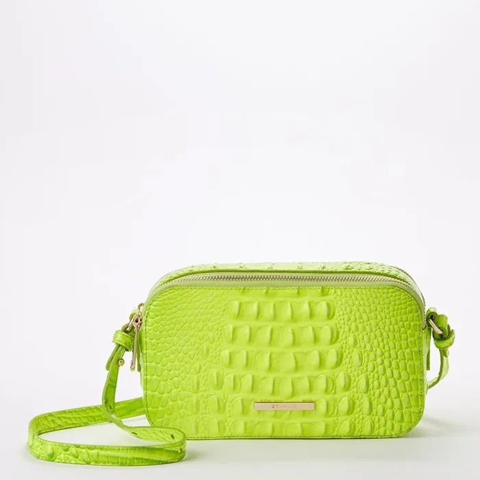 Women Brahmin Crossbodies Danica Limelight Ombre