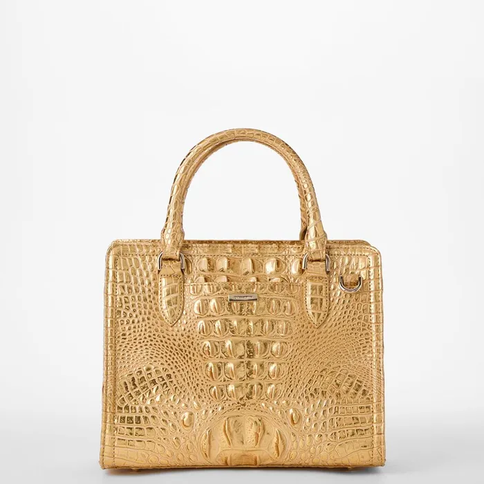 Women Brahmin Satchels Cami Gold Peyson